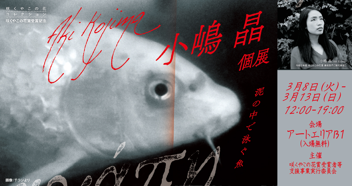 咲くやこの花賞受賞記念 「小嶋晶個展～泥の中で泳ぐ魚